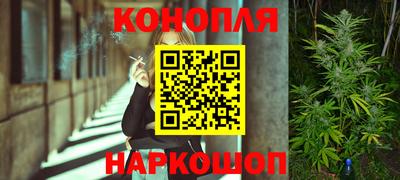 дмт Донской