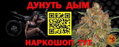 стаф Донецк