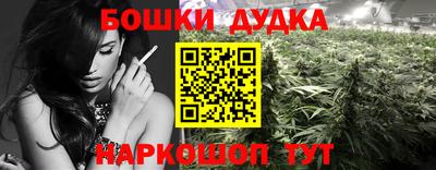 стаф Донецк