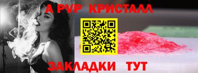 стаф Донецк