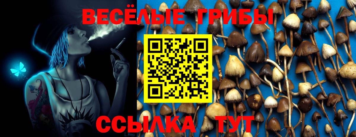 Псилоцибиновые грибы Cubensis Менделеевск